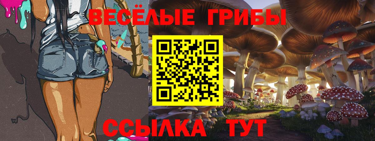 Псилоцибиновые грибы прущие грибы  Псилоцибиновые грибы Cubensis  Абинск  Вход с VPN 